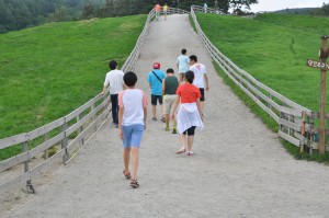 21488260764_9fa23113d0_k