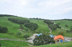 21488277504_346799cdcf_k