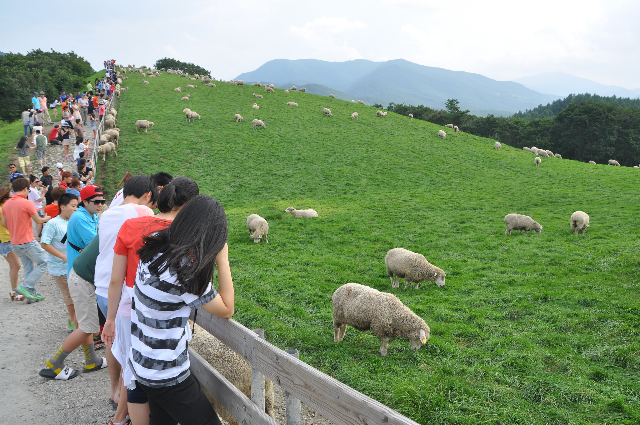 21923234248_64d29faea9_k