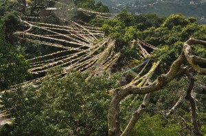 21686599603_46d23bb88d_k