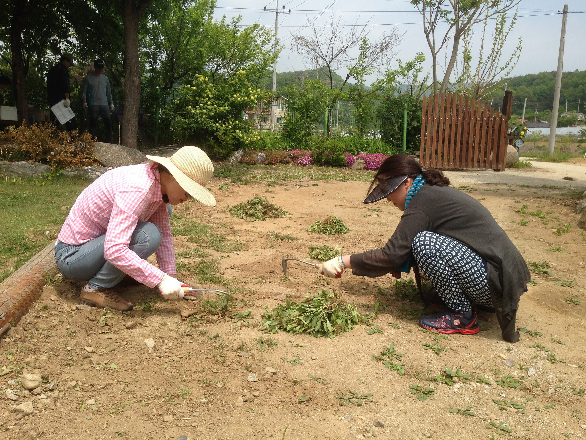 21860733258_1293bc543a_k