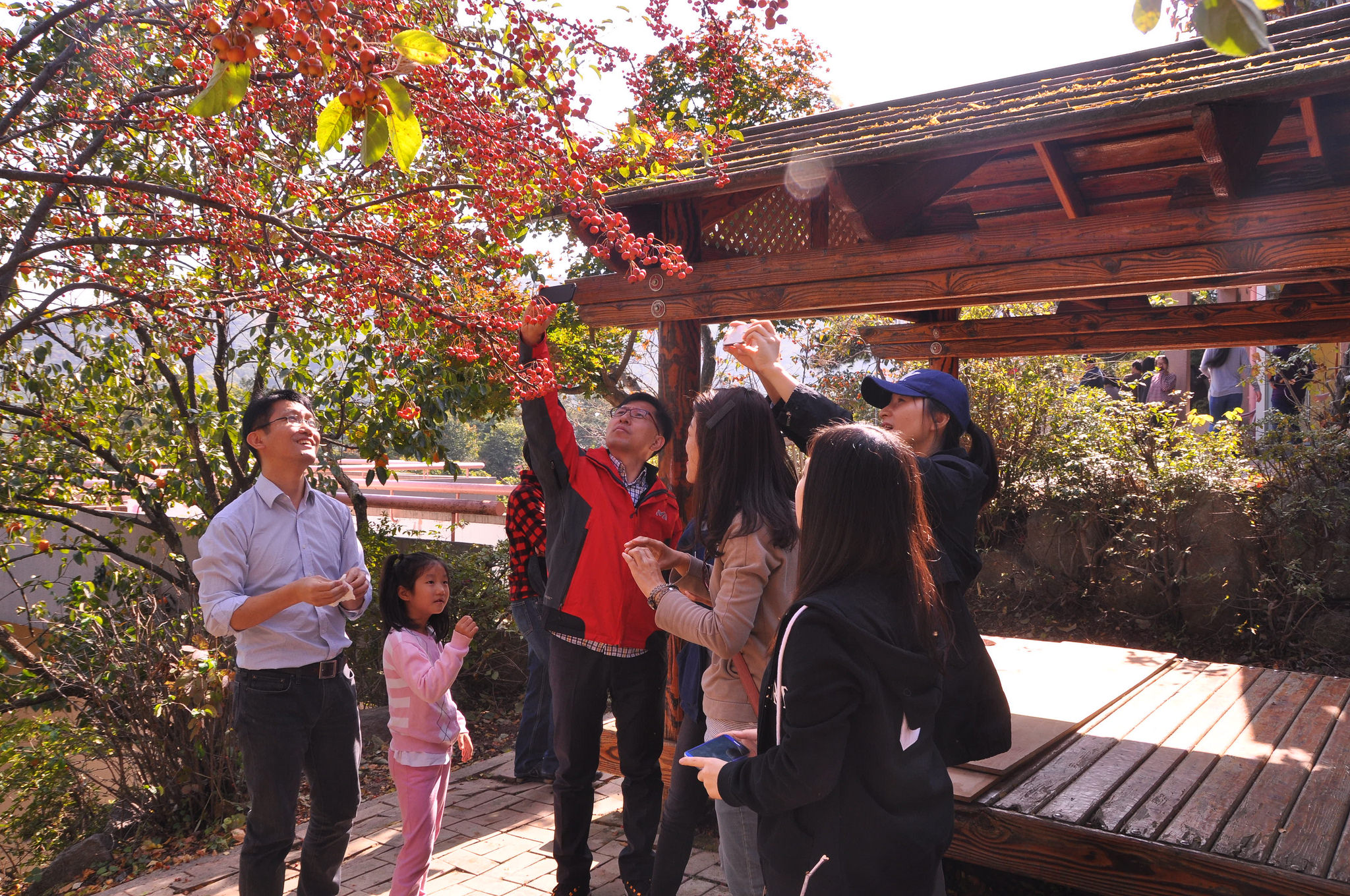 21880215060_707e97699e_k