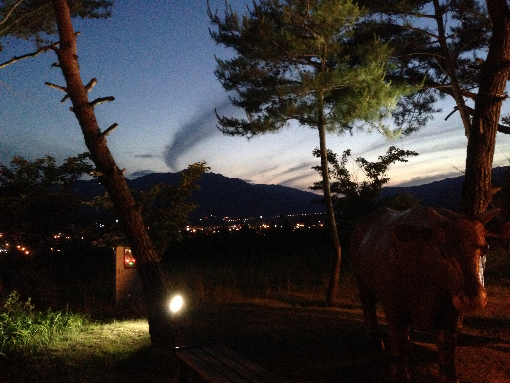 22102716391_658e5d9736_k