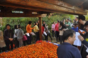 22251084779_c8de2fc195_k