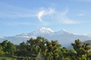 22282331136_29532518ac_k