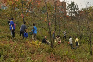 dsc_0340_22250017980_o